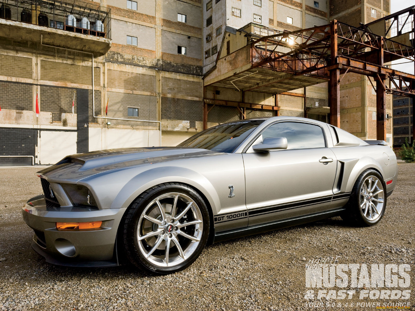 , mustang
